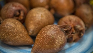 Zapomniany owoc, który kiedyś jedzono głównie zimą. Pomaga na problemy z żołądkiem, choroby serca i kamienie w nerkach 