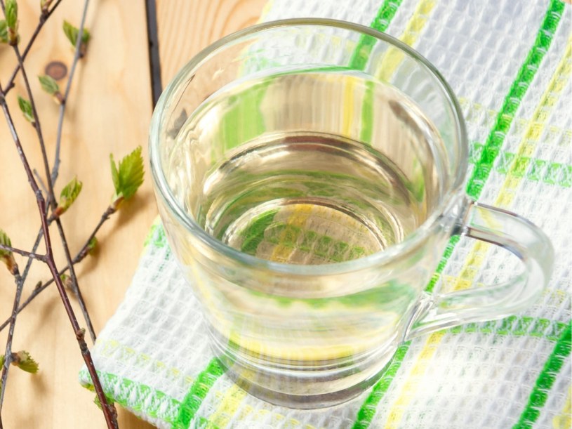 Zapomnij o drogich detoksach. Woda z drzewa czyści nerki i stawia na nogi po zimie