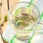 Zapomnij o drogich detoksach. Woda z drzewa czyści nerki i stawia na nogi po zimie