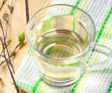 Zapomnij o drogich detoksach. Woda z drzewa czyści nerki i stawia na nogi po zimie