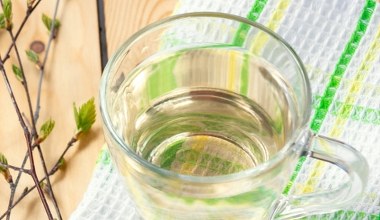 Zapomnij o drogich detoksach. Woda z drzewa czyści nerki i stawia na nogi po zimie