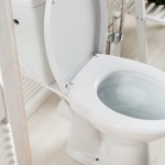 Zapomnij o kamieniu w toalecie. W mig usuniesz go tym sposobem