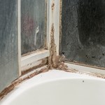 Zapomnij o occie. Tak wyczyścisz kabinę prysznicową na błysk bez brzydkiego zapachu