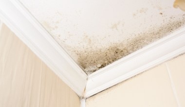 Zapomnij o pleśni w mieszkaniu. Tak szybko pozbędziesz się wilgoci 