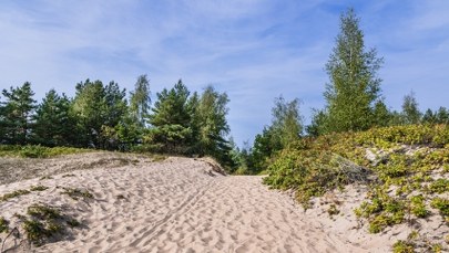 Zapomnij o tłumach. Ta wyspa to ostatni taki raj na polskim wybrzeżu