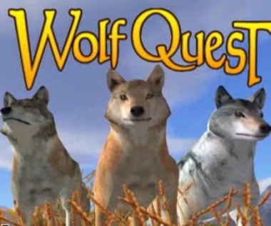 Zapowiedziano grę WolfQuest, "wilcze" RPG
