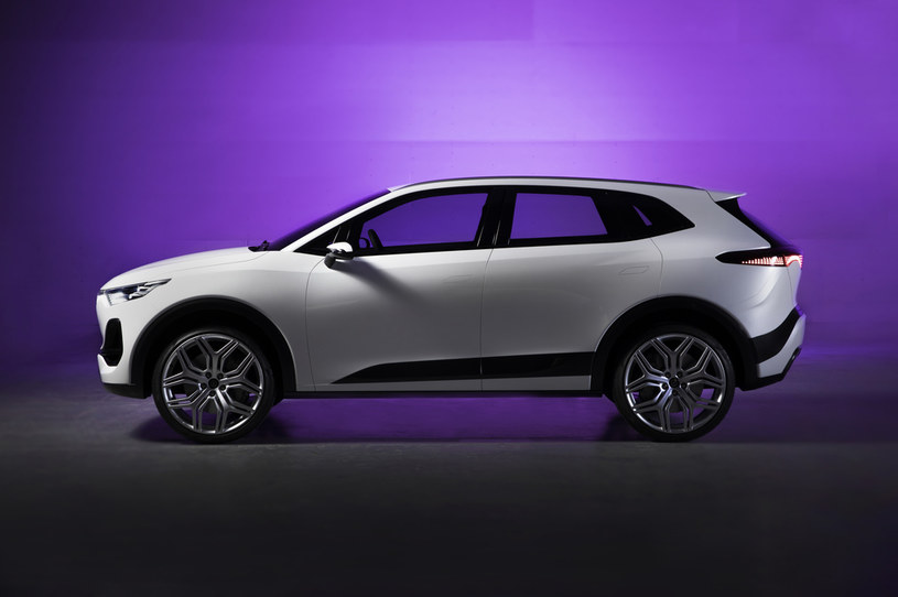 Zaprezentowane pod koniec lipca prototypy marki Izera - SUV i hatchback - nie są modelami produkcyjnymi /.