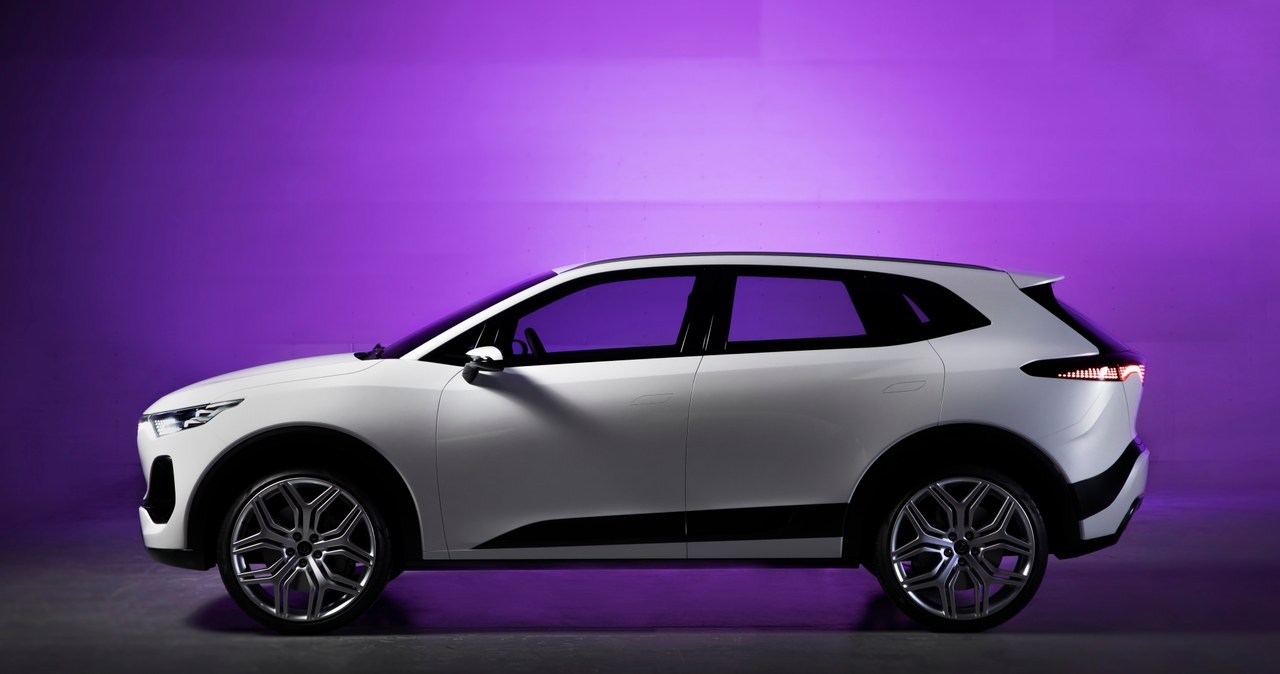Zaprezentowane pod koniec lipca prototypy marki Izera - SUV i hatchback - nie są modelami produkcyjnymi /materiały promocyjne