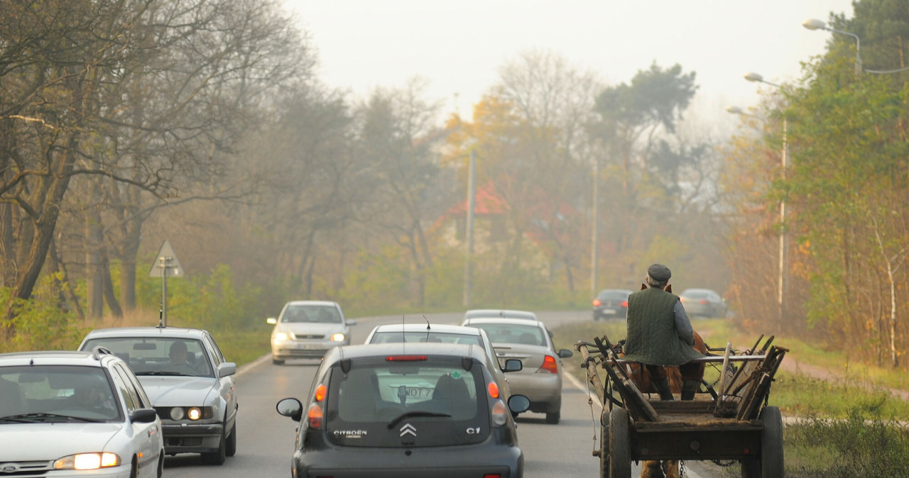 Zaprzęg konny to także pojazd wolnobieżny /LECH GAWUC/REPORTER /East News