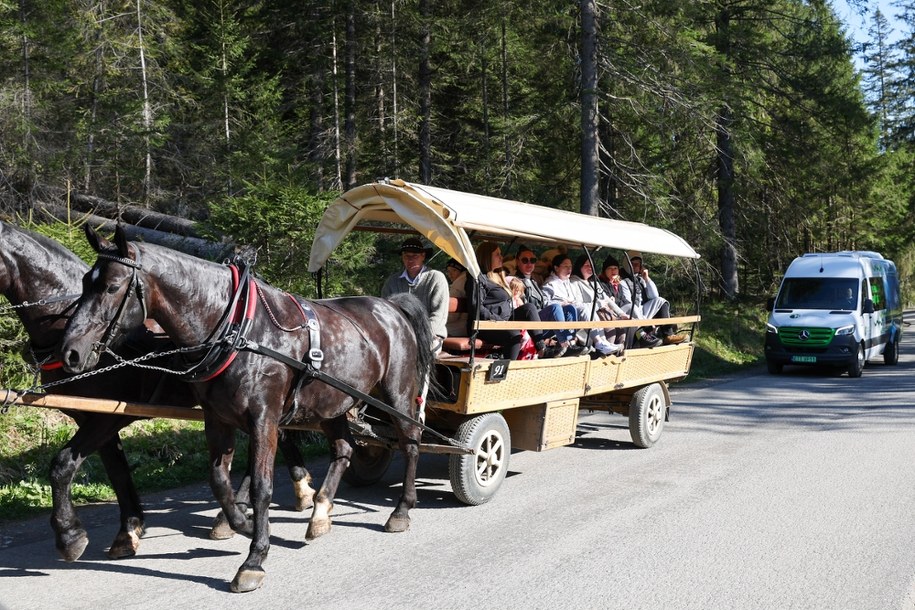 Zaprzęg wiozący turystów nad Morskie Oko (zdj. arch.) / 	Grzegorz Momot    /PAP