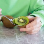 Zapytali maturzystów o kiwi w galaretce. Właściwości owocu zaskakują