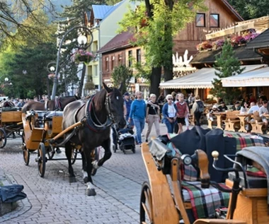 Zapytali turystów z Węgier o Zakopane. Do jednej rzeczy mieli zastrzeżenie