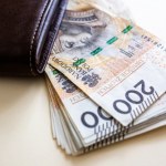 Zarobki Polaków pod lupą GUS-u. Są nowe dane