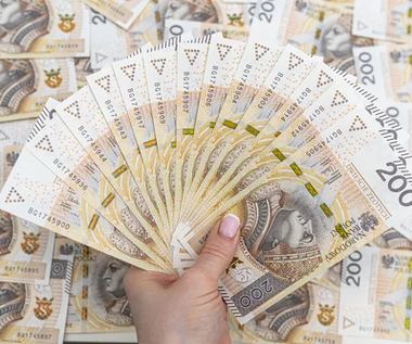 Zarobki w województwie wielkopolskim w 2020 r.