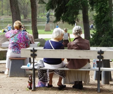 Zarobki w wysokości 8767 zł brutto. Oto ile wyniesie emerytura