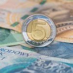 Zarobki włodarzy miast i wsi. Pensja wójta i prezydenta mogą zaskoczyć