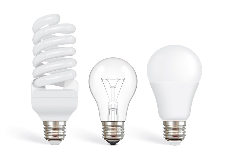 Żarówka LED w domach to pewne oszczędności. /123RF/PICSEL