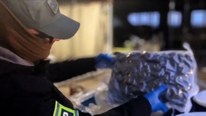 Zarzuty dla Holendrów. Próbowali z terminala ukraść kokainę 