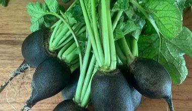 Засіб від жирної печінки та проблем із травленням. Купіть у овочевому магазині та приготуйте салат