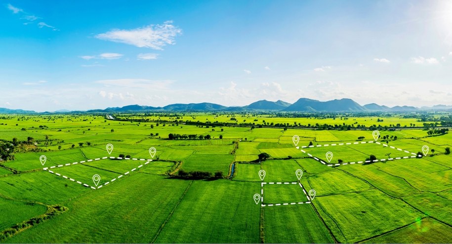 Zasiedzenie nieruchomości – poznaj najważniejsze zasady według Sądu Najwyższego /Shutterstock