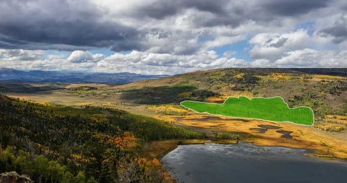 Zasięg Pando jest naprawdę ogromny. Drzewa w tym regionie mają wspólną sieć korzeni. /Lance Oditt/Friends of Pando /materiały prasowe