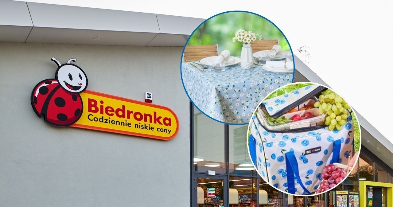 Zaskakująca oferta na lato w Biedronce! Akcesoria piknikowe w świetnej cenie! /adobestock/Biedronka /INTERIA.PL