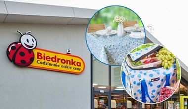 Zaskakująca oferta na lato w Biedronce! Akcesoria piknikowe w świetnej cenie!