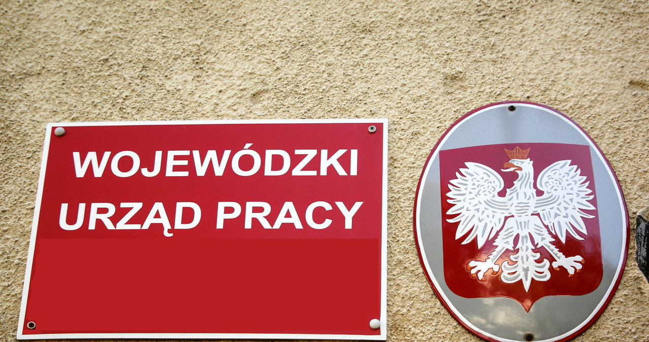 Zaskakujące dane z rynku. Wzrost jest nawet dwucyfrowy /Piotr Molecki /Agencja SE/East News