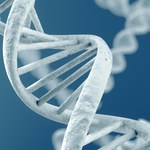 Zaskakujące odkrycie: mutacje wcale nie są przypadkowe