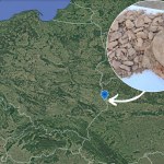 Zaskakujące odkrycie na złomowisku w woj. lubelskim. Umbo z II wieku