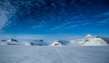 Zaskakujące odkrycie pod Antarktydą. Naukowcy nie tego się spodziewali
