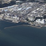 Zaskakujące odkrycie w Fukushimie. Radioaktywna woda tętni życiem