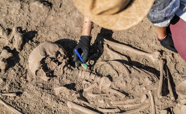 ​Zaskakujące znalezisko w Zielonkach. Jakie tajemnice skrywa ziemia krakowska?