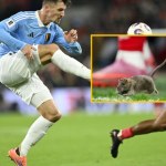 Zaskakujący gość na murawie. Szczur zakłócił mecz eliminacji piłkarskich MŚ w Cardiff. NAGRANIE