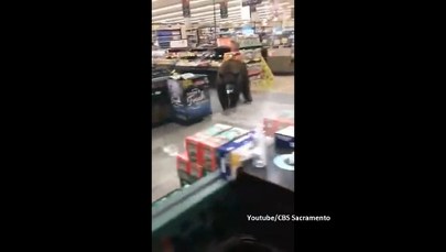 Zaskakujący klient w supermarkecie. Sklepowe półki rabował niedźwiedź