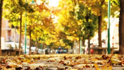 Zaskakujący koniec września. Jaką pogodę przyniesie pierwszy tydzień jesieni?