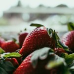 Zaskakujący pomysł Polaków. Przez cały rok będą świeże polskie truskawki