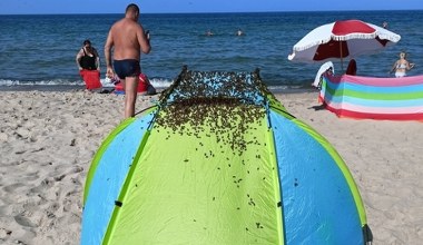 Zaskakujący widok na plaży w Jastarni. Interweniowali strażacy