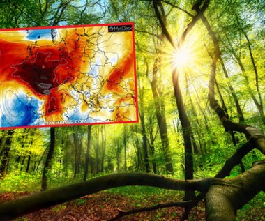 Zaskakujący zwrot w pogodzie. Wkrótce się zacznie