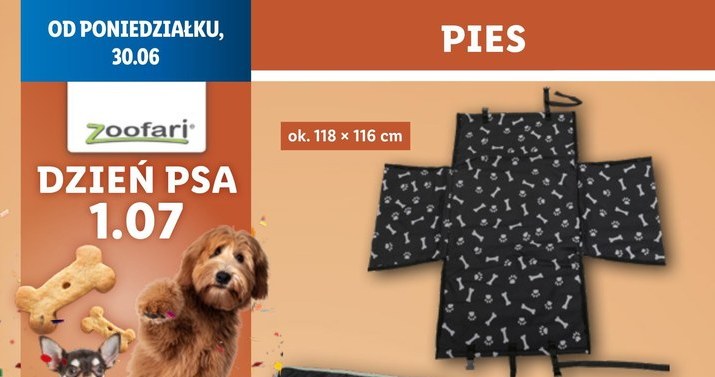Zaskocz swojego pupila na Dzień Psa! Lidl ruszył z wyjątkową promocją /Lidl /INTERIA.PL