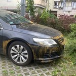 Zaskoczeni kierowcy pokazują brudne auta po deszczu. Winny pył z Sahary