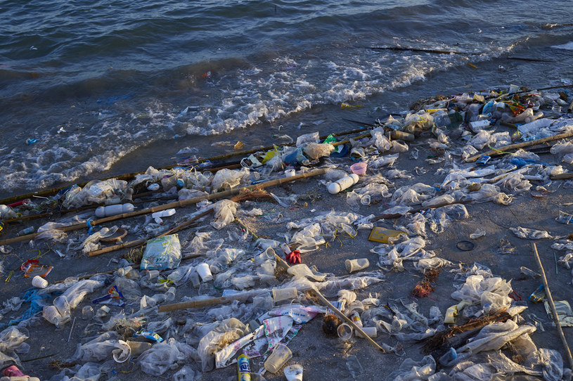 Zaśmiecenie oceanicznych wód doprowadzi ludzkość do zagłady /123RF/PICSEL