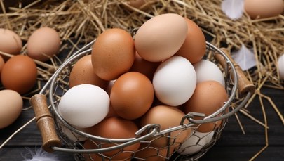 Zastanawiasz się, które jajka są lepsze: białe czy brązowe? Tego nikt ci nie powiedział!