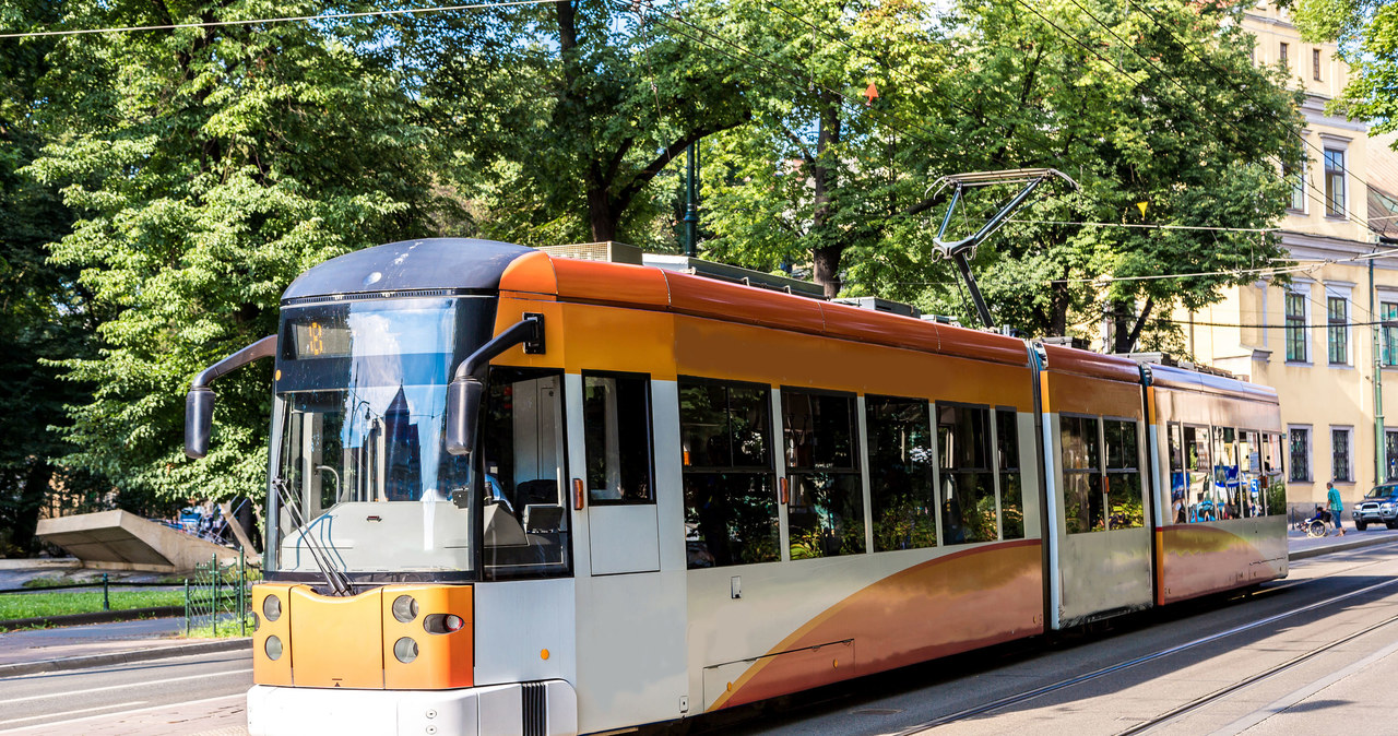 Zaświadczenie wydawane na czas oczekiwania przez ucznia na legitymację zwykle nie jest honorowane przez transport publiczny /123RF/PICSEL