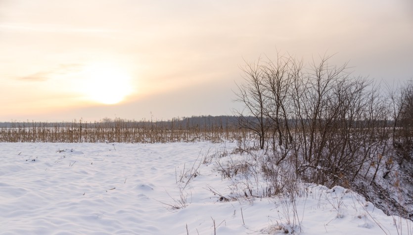 Zasypiał w zaspie. Policjanci uratowali 43-latka