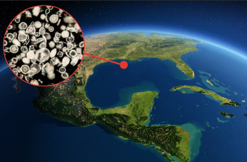 Zatoka Meksykańska oparła się globalnemu ociepleniu 56 milionów lat temu /123RF/PICSEL