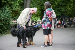 Zatrać się w zieleni, czyli piknikowanie po krakowsku!