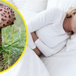 Zatrucie grzybami. Postępowanie i pierwsza pomoc