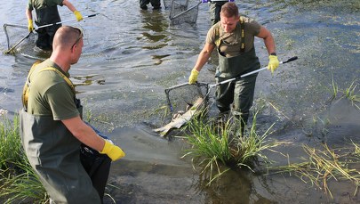 Zatrucie Odry. Apele o wprowadzenie stanu nadzwyczajnego