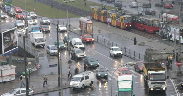 Zatrzymać się i pozwolić przejść im na drugą stronę? /INTERIA.PL